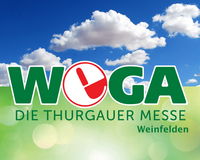 Flexo-Handlauf an der WEGA in Weinfelden