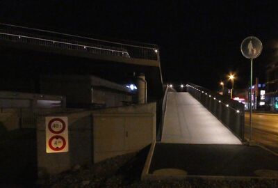 Gemeinde Horgen setzt auf Flexo Handlauf