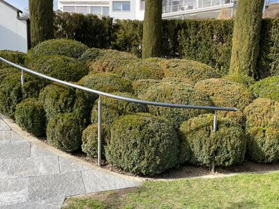 Flexo-Handlauf - Schöner Aussenhandlauf im Dekor «Anthrazit» in Wädenswil
